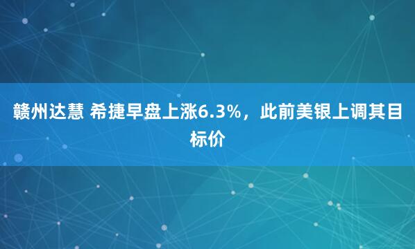 赣州达慧 希捷早盘上涨6.3%，此前美银上调其目标价