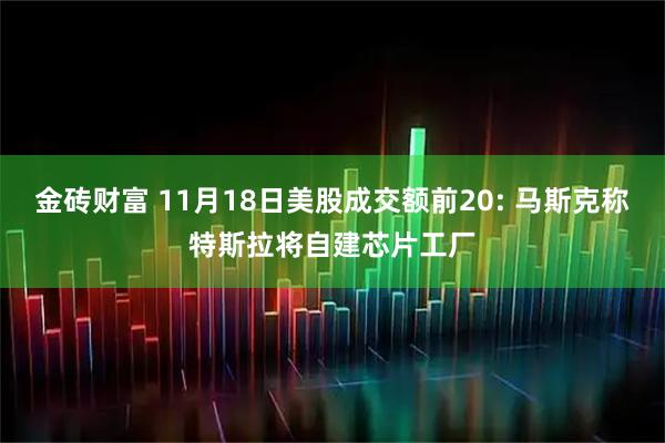 金砖财富 11月18日美股成交额前20: 马斯克称特斯拉将自建芯片工厂