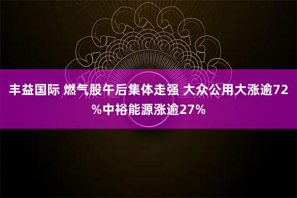 丰益国际 燃气股午后集体走强 大众公用大涨逾72%中裕能源涨逾27%